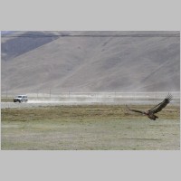 2009-05-14-111.JPG